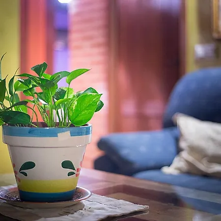 Inma, Segovia ,hoces Del Duraton Y Cerca De Madrid